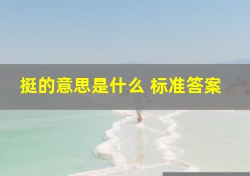 挺的意思是什么 标准答案